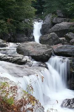 Waterfall in the forest Stock Photos
