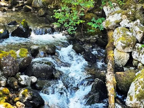 A waterfall in the forest Stock Photos