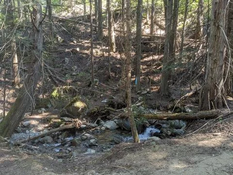 Waterfall In The Forest Fotos de archivo