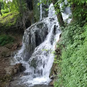 Waterfall in forest Stock Photos