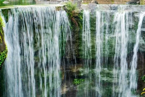 Waterfall in forest Foto stock