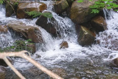 A waterfall in the forest Stock Photos