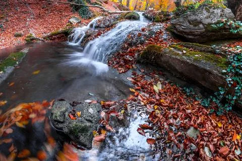 Waterfall in the forest Stock Photos