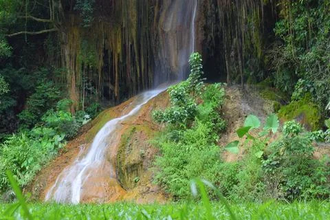 Waterfall in the forest Foto stock
