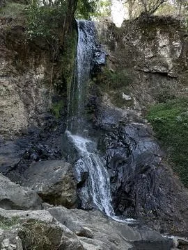 Waterfall in the forest Stock Photos