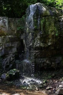Waterfall in the forest. Stock Photos