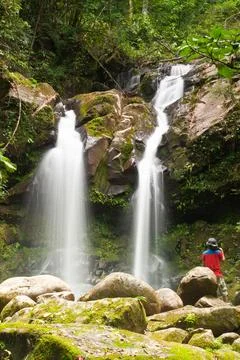 Waterfall in forest 写真素材