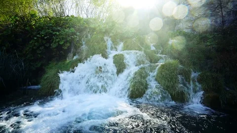 Waterfall in forest, Plitvice, Croatia Stock-Footage 83435327