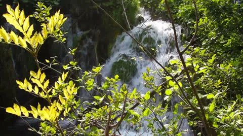 Waterfall in the forest, Plitvice Lakes National Park, Croatia Vidéo 26654739