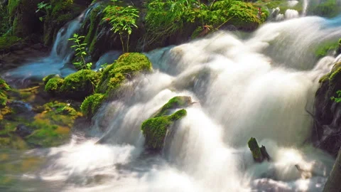 Waterfall in forest Plitvice Lakes National Park, Croatia 库存影片 94530472