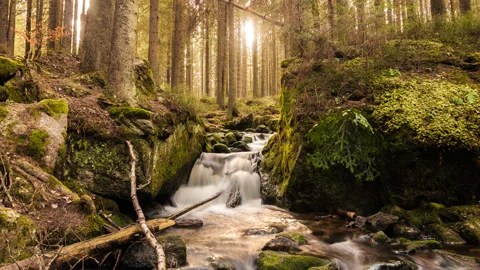 Waterfall forest ProRes-444 4K UHQ Stock Footage 150564524