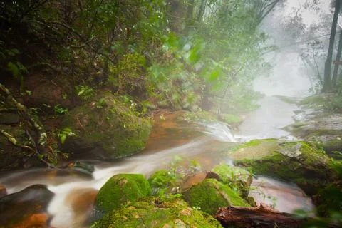 Waterfall in forest in rain season Stock Photos