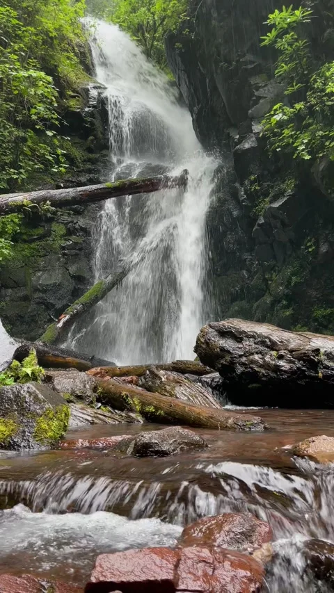 Waterfall in the forest in rainy day Stock Footage 315258163