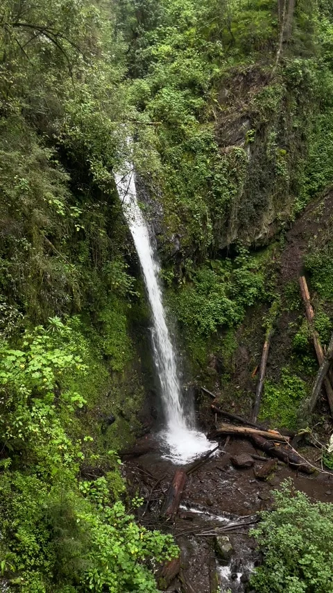 Waterfall in the forest in rainy day Stock Footage 315258210