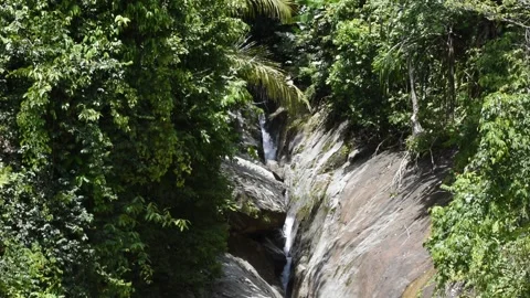 Waterfall in the forest reserve Stock Footage 213985320