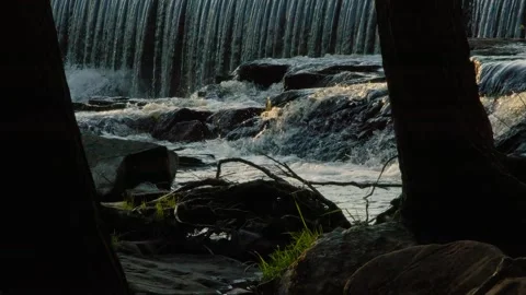 Waterfall forest river cascade panning fresh spring water landscape Stock Footage 194353565