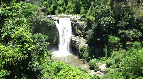 Waterfall. Forest. River Stock-Footage 62896714