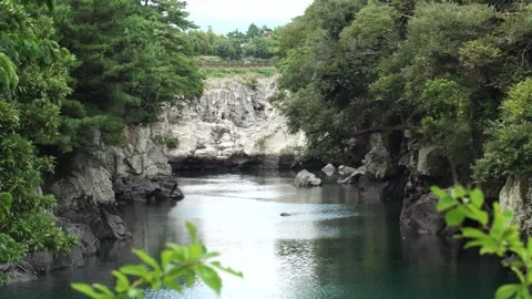 Waterfall in the forest, river in the forest Video stock 310345680