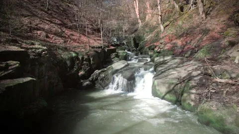 Waterfall / Forest / River / Healy Dell / Drone Stock Footage 237400222