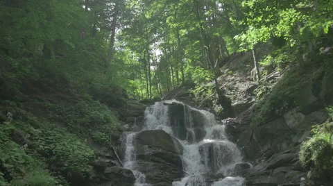 Waterfall forest river water Stock Footage 52087818