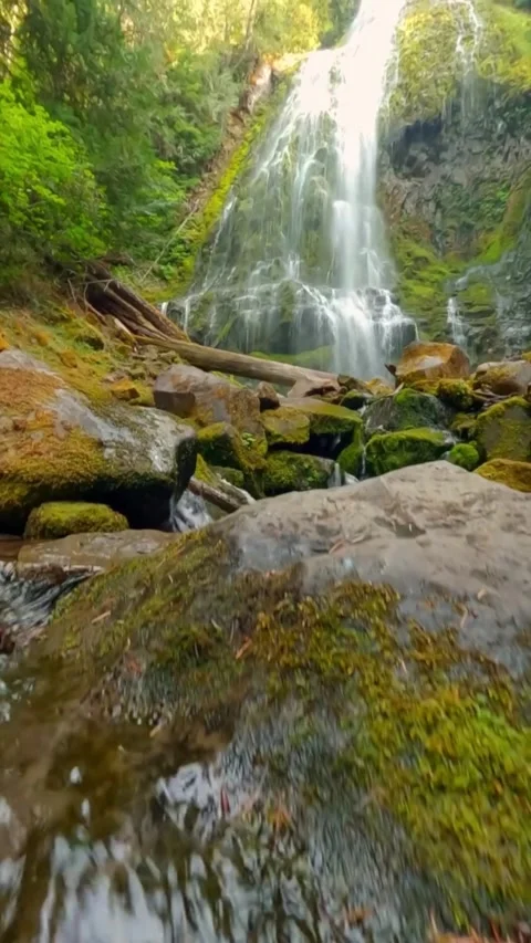 Waterfall in the forest with rocks Stock Footage 274296229