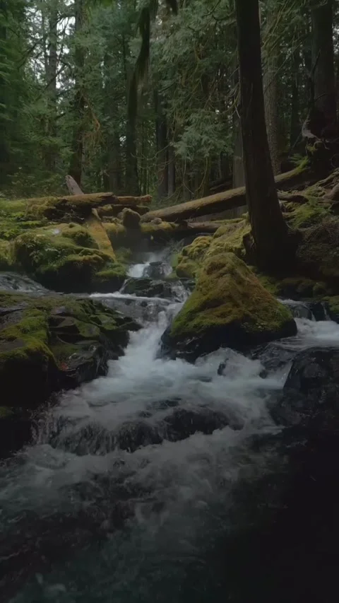 Waterfall in the forest with rocks Stock Footage 274351969