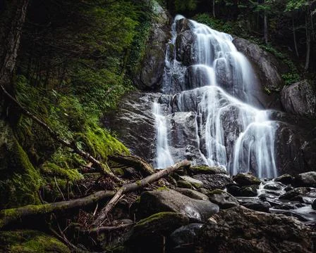 The waterfall in the forest with rocks in the foreground Stock Photos