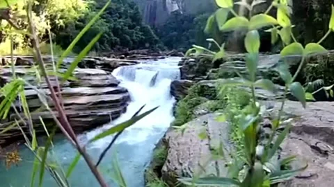 Waterfall at Forest Scenery Animation Stock Footage 264088905