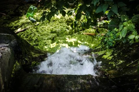 Waterfall in the forest. Selective focus. Shallow depth of field. Stock Photos