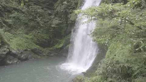 Waterfall in Forest Setting Stock-Footage 343567812