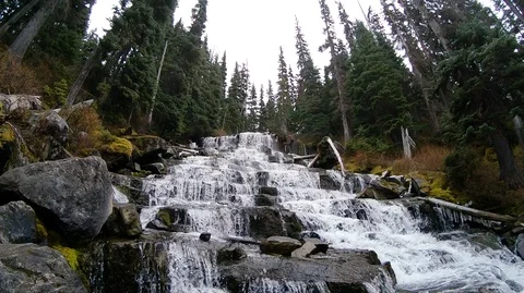 Waterfall In The Forest Slow Motion 스톡 동영상 121050433