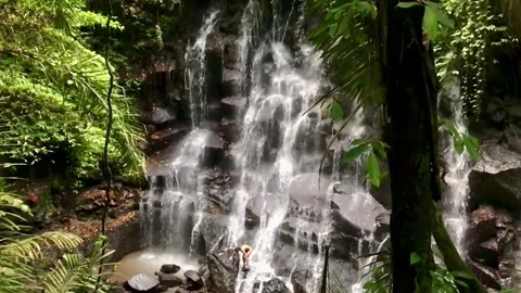 Waterfall in the forest - Slow Motion Stock Footage 240846667