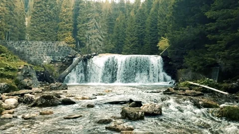 Waterfall in the forest in slow motion Stock Footage 243447366
