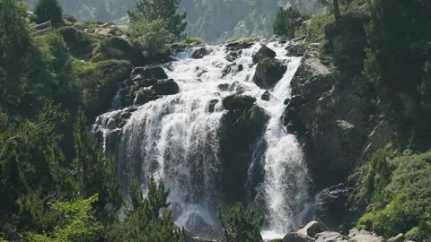 Waterfall in the forest in slow motion Stock Footage 297792488