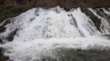 Waterfall in the forest at spring 스톡 동영상 85832725