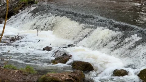 Waterfall in the forest, stream with water flows close-up and hits the rocks Stock Footage 306058953