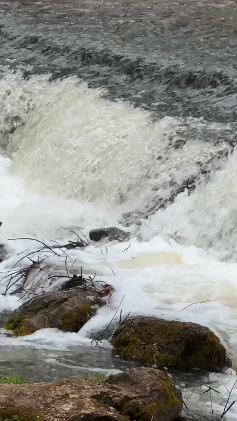 Waterfall in the forest, stream with water flows close-up and hits the rocks Stock Footage 306059064