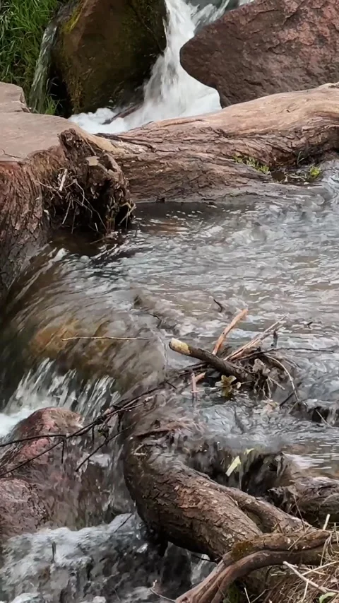 Waterfall in the forest, stream with water flows close-up and hits the rocks Stock Footage 306059132