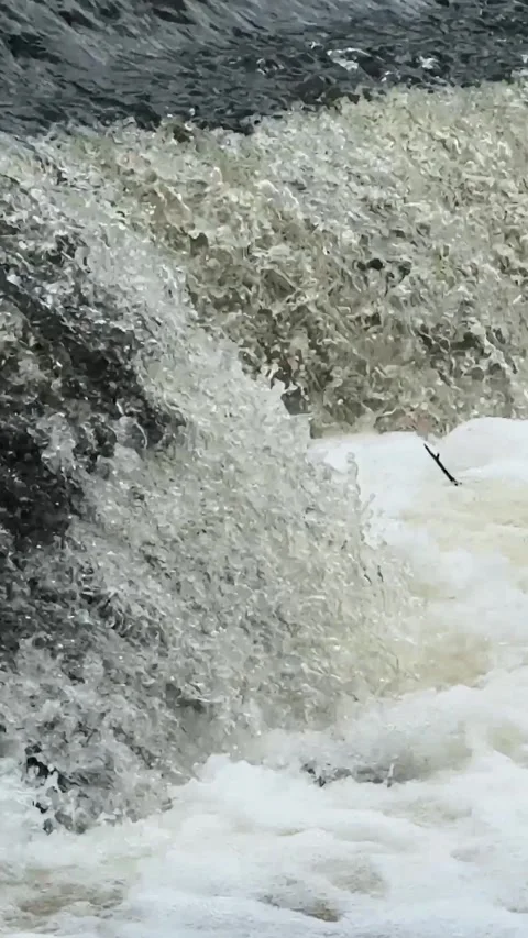 Waterfall in the forest, stream with water flows close-up and hits the rocks Stock Footage 306059209