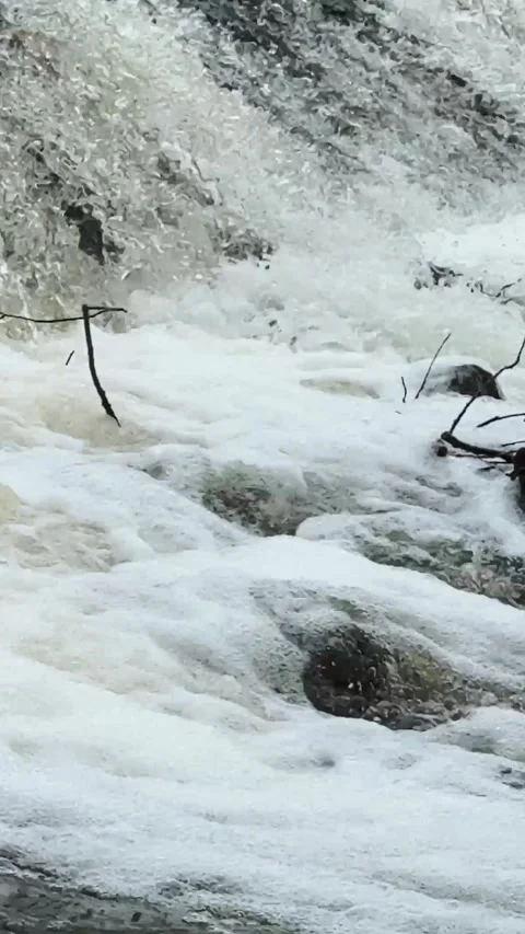 Waterfall in the forest, stream with water flows close-up and hits the rocks Stock Footage 306059240