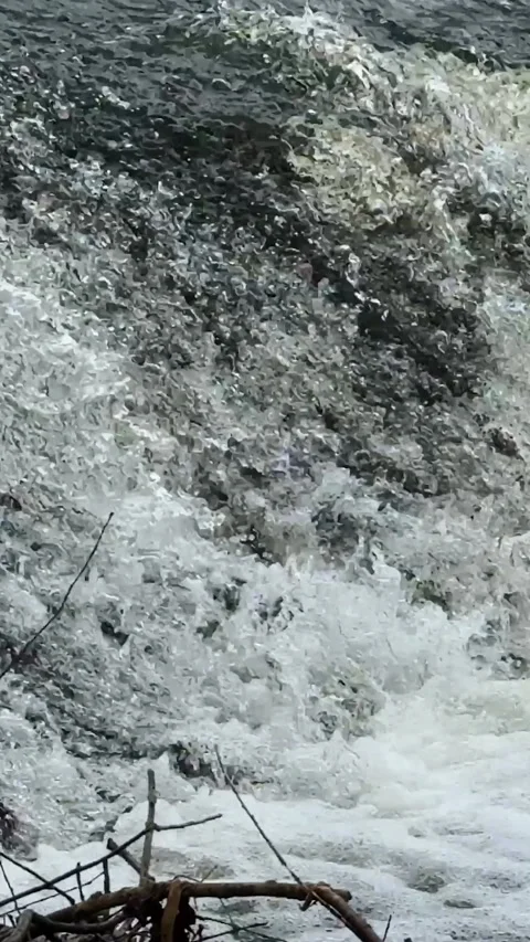 Waterfall in the forest, stream with water flows close-up and hits the rocks Stock Footage 306059241