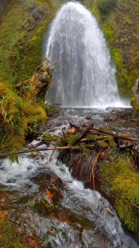 Waterfall in the forest in summer Stock Footage 274335445