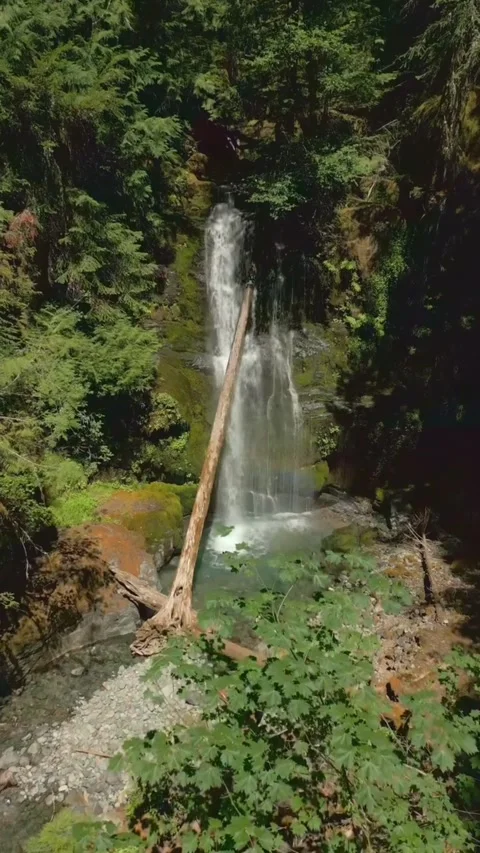Waterfall in the forest in summer Stock Footage 274354085