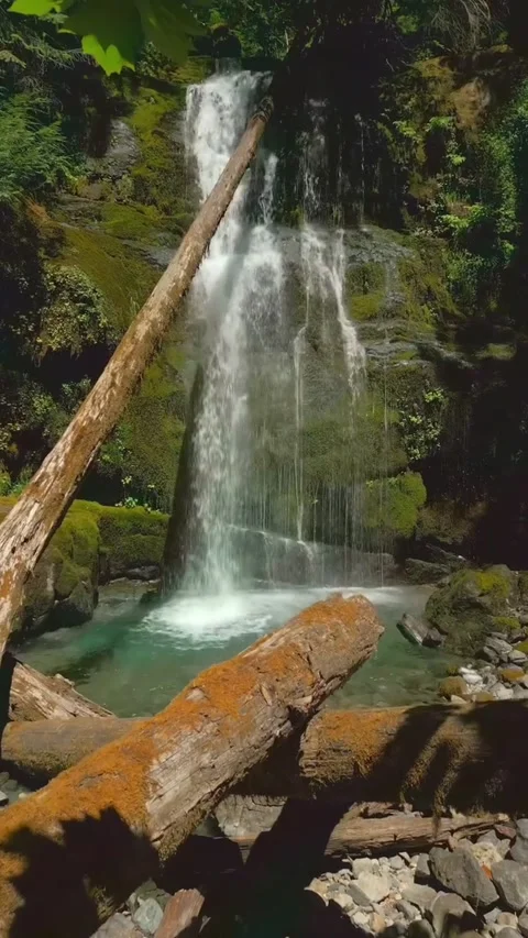 Waterfall in the forest in summer Stock Footage 274867134