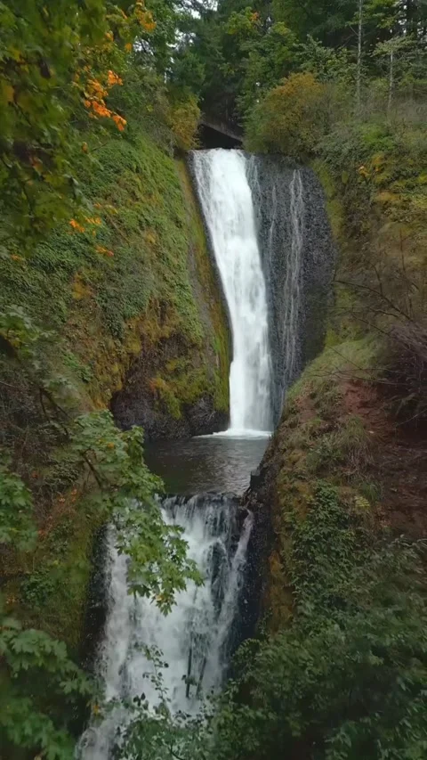 Waterfall in the forest in summer Stock Footage 274867557