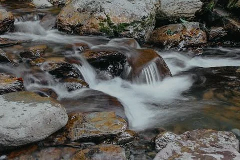A waterfall is in a forest, surrounded by trees and rocks Stock Photos