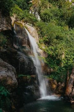 A waterfall is in a forest, surrounded by trees and rocks Stock Photos