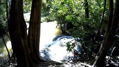 Waterfall in forest in Thailand Stock Footage 246591269
