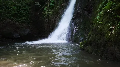 Waterfall in the forest with tiny natural pool Stock-Footage 221584119