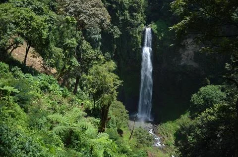 Waterfall in the forest view high Stock Photos
